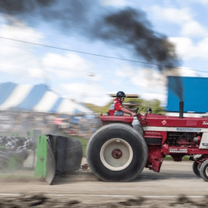 WarkworthFair